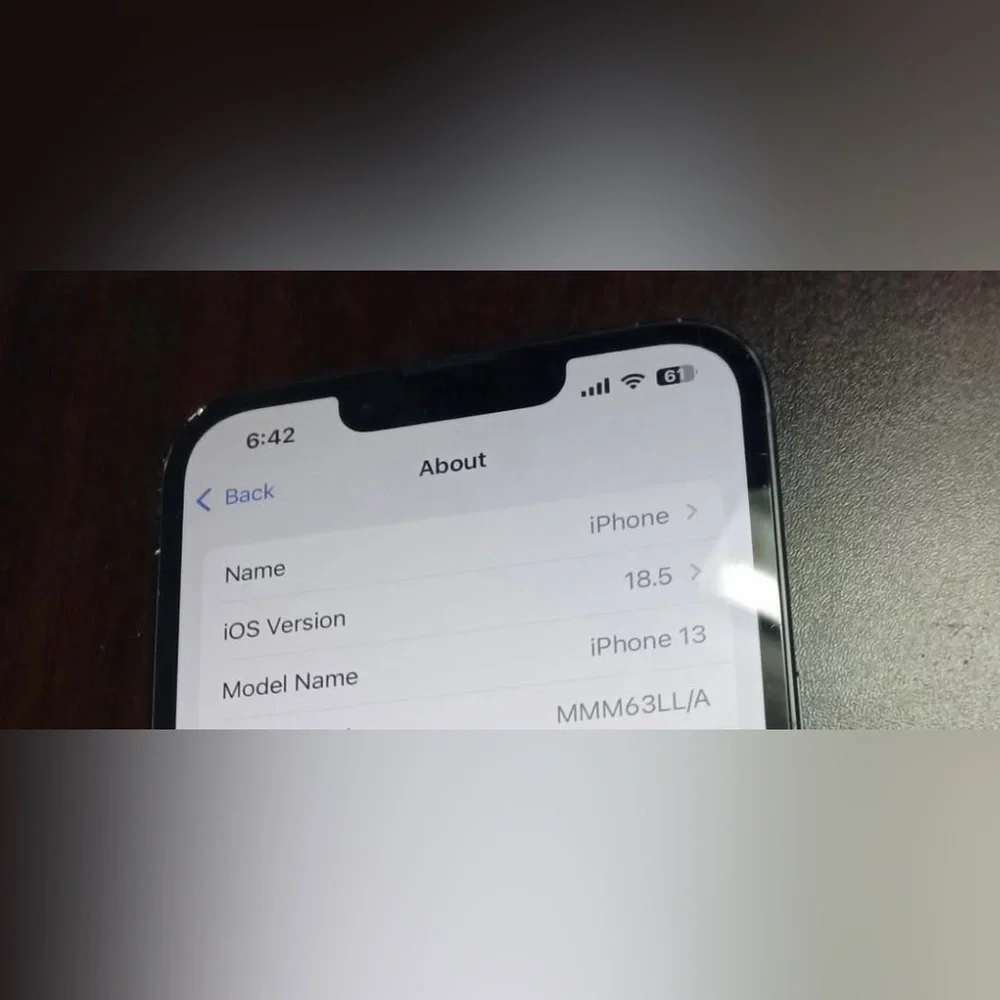 Blue Apple iPhone 13